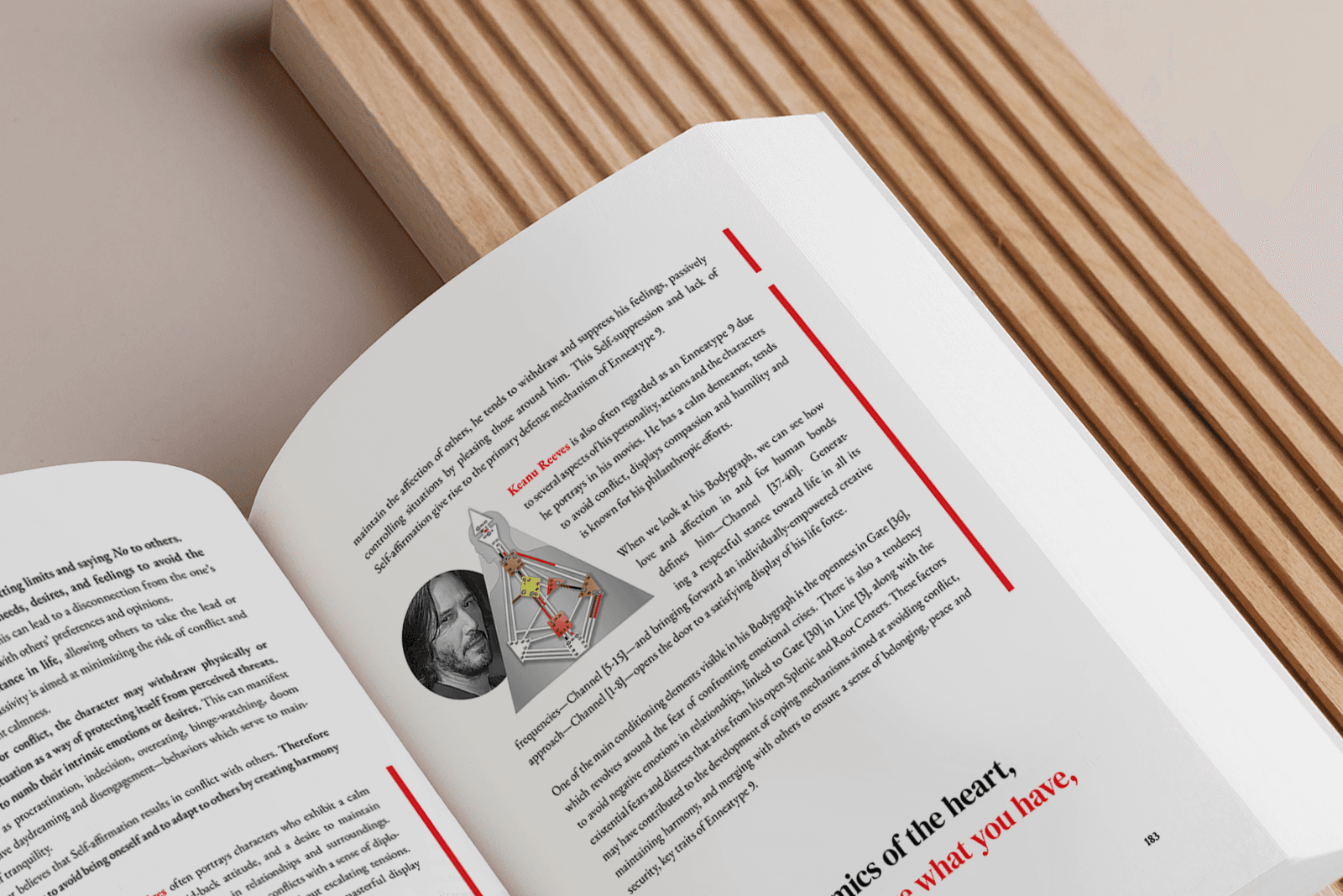 Understanding Our Energetic Architecture Book Interior