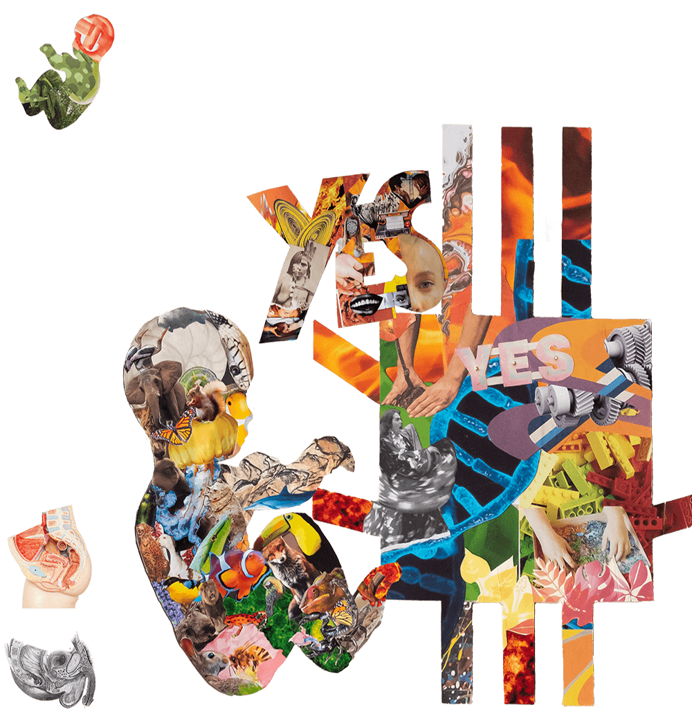 Human Design collage